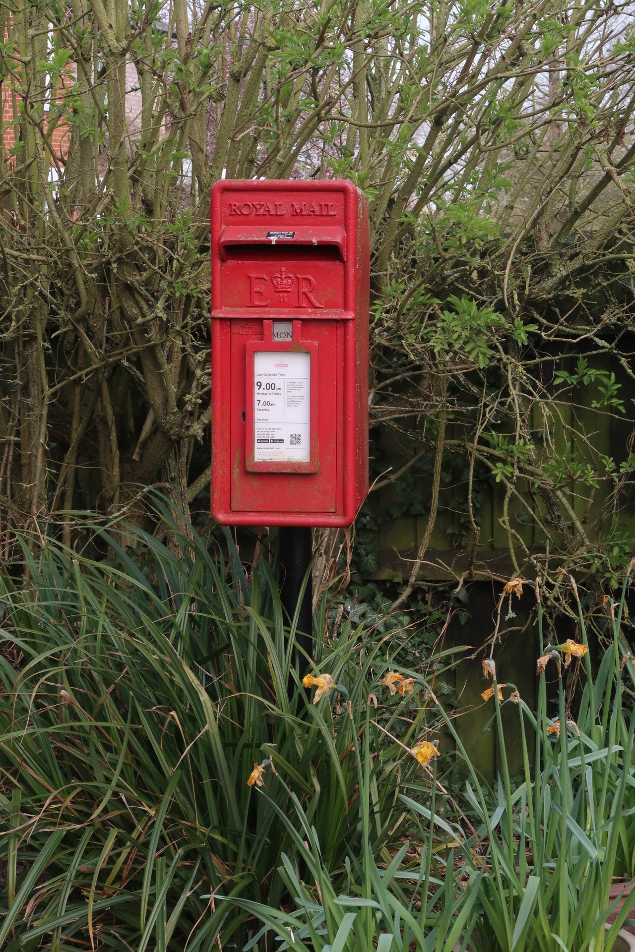 Neaves Lane, Mid Suffolk photo 2