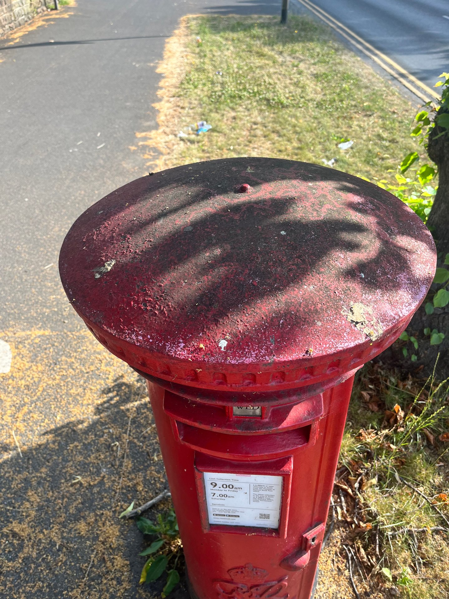 Nuthall Gardens, Whitemoor photo 5