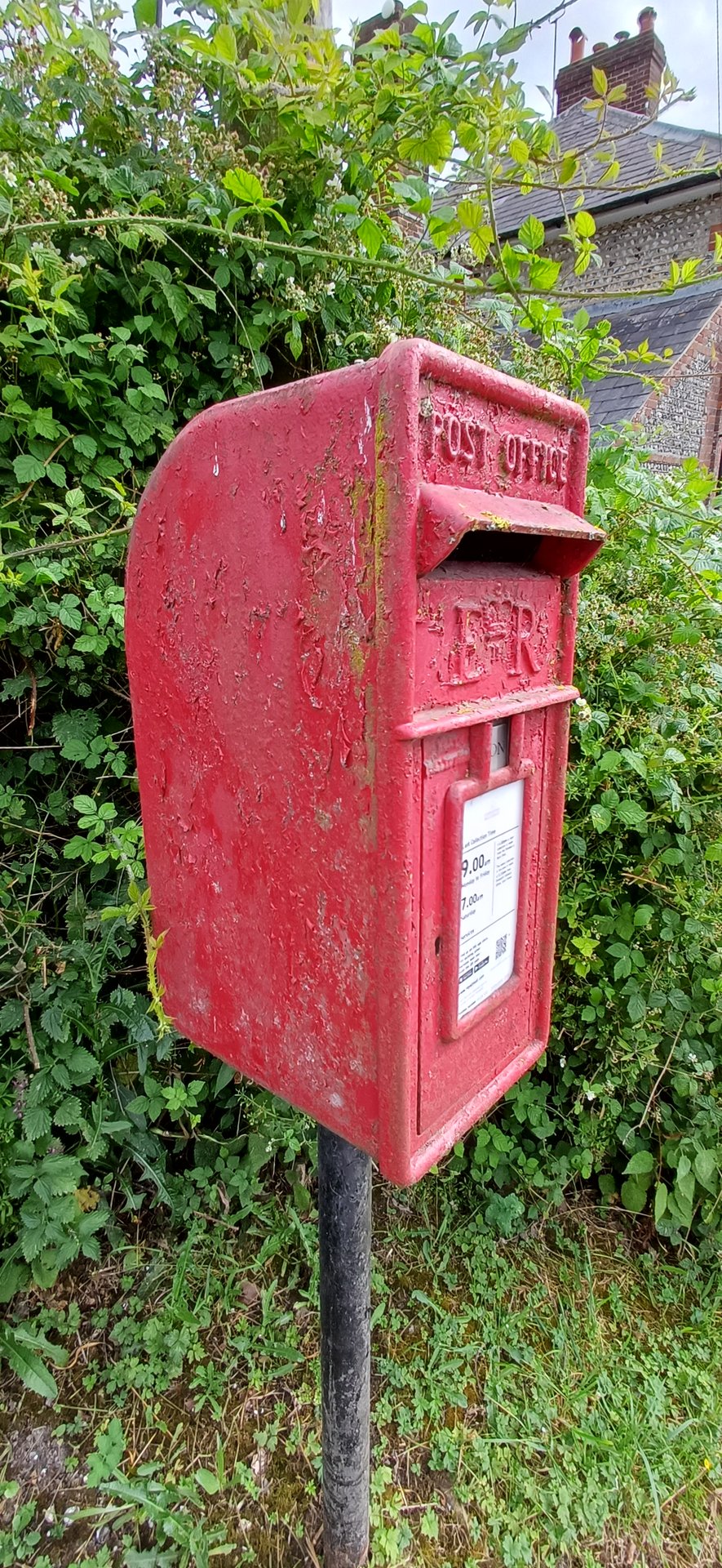Beechwood Lane, Duncton photo 2