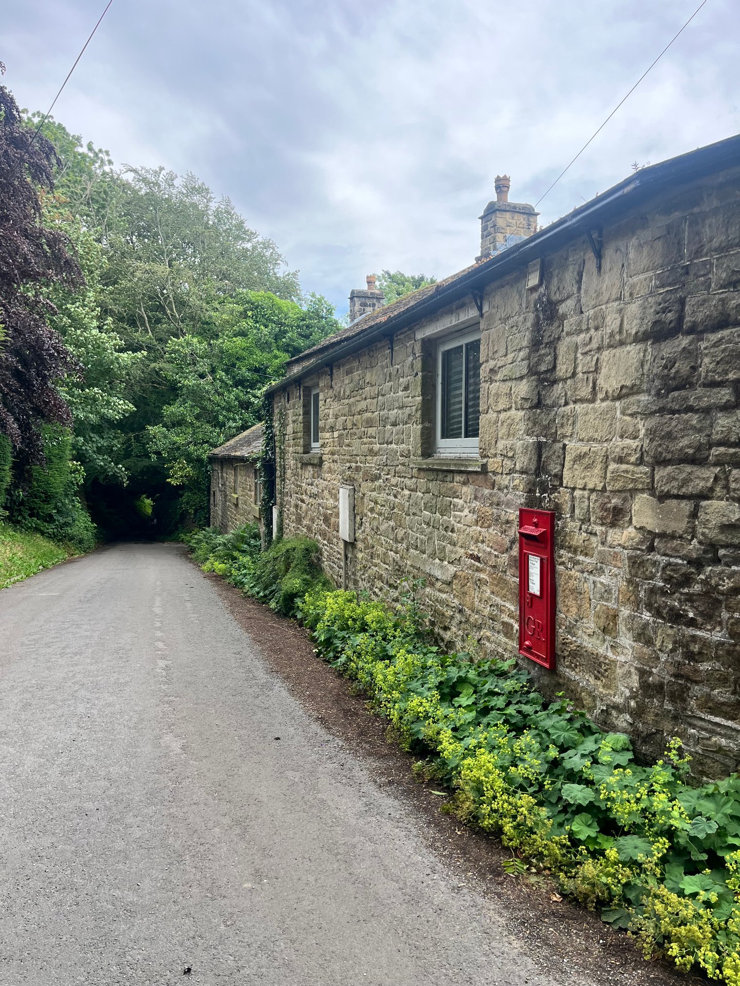 Aston Lane, Hope photo 5