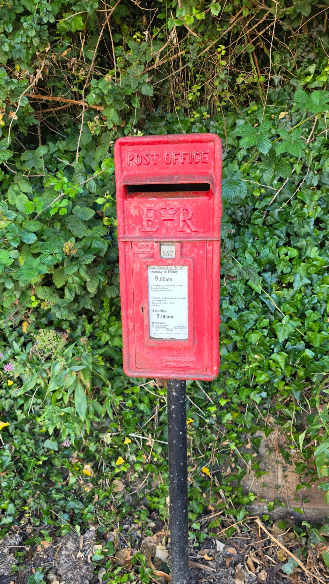 Coombe Vale Road, Shaldon photo 2
