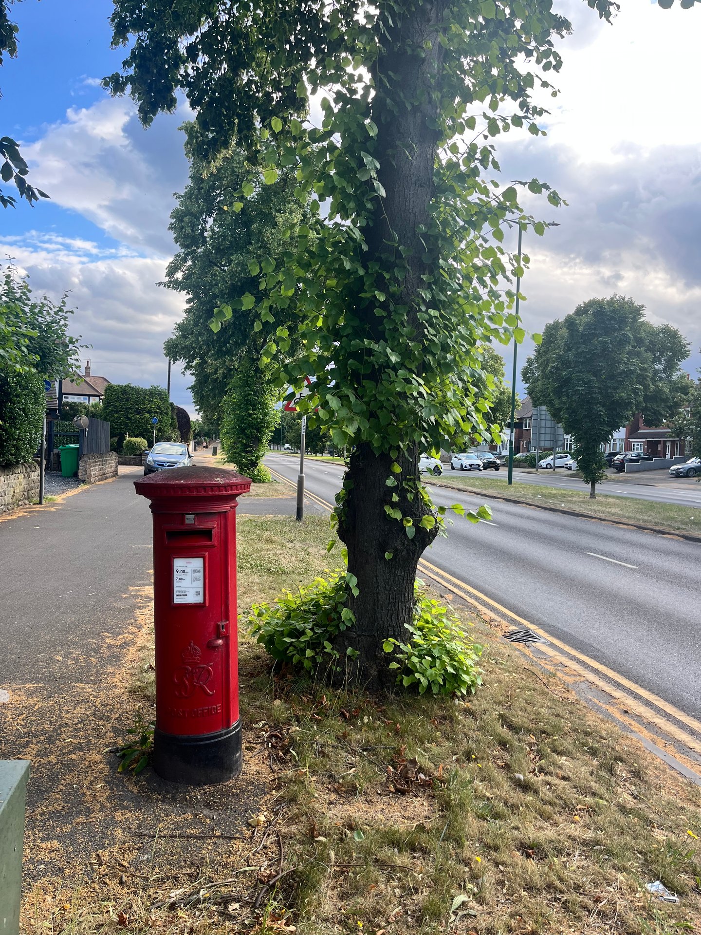 Nuthall Gardens, Whitemoor photo 6
