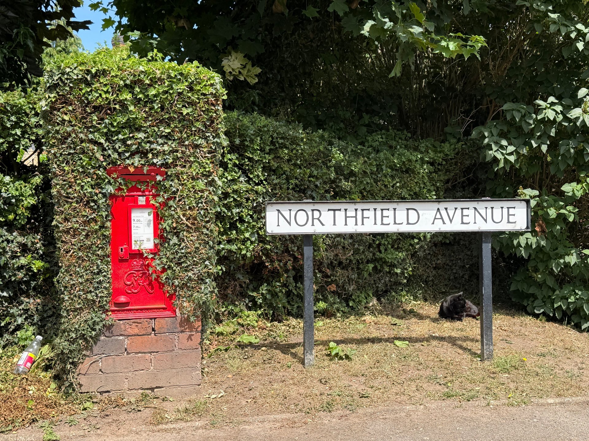 Northfield Avenue, Rocester photo 2