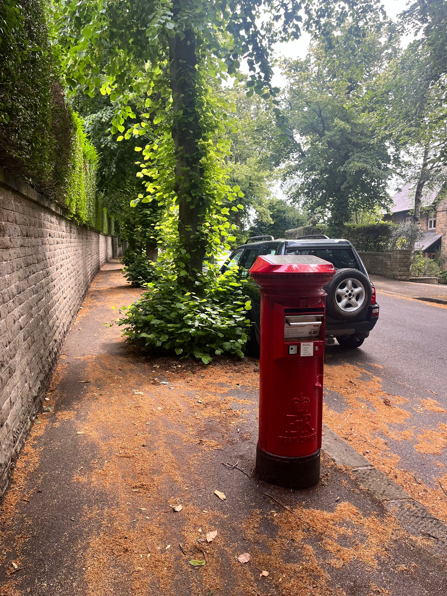 Whitworth Road, Fullwood photo 10