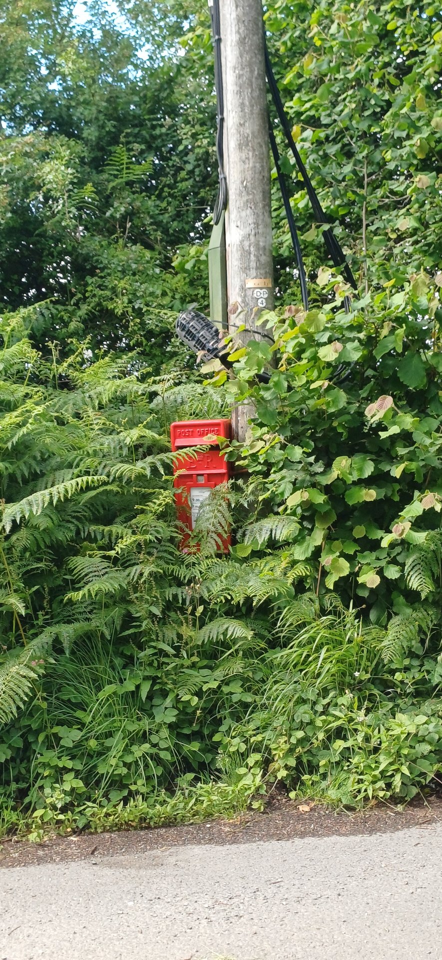 Bignor Park Road, Sutton photo 3