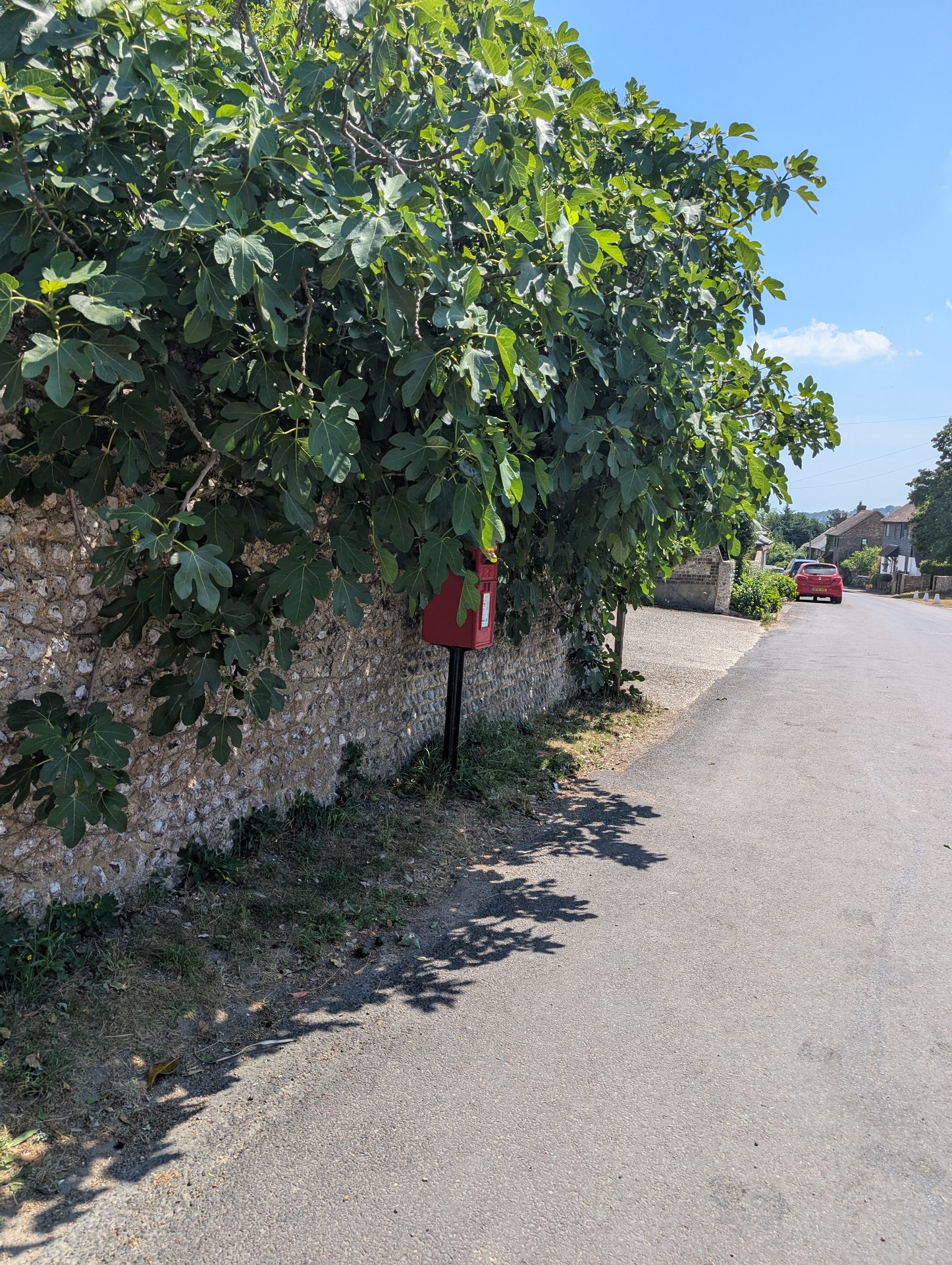 Nepcote Lane, Findon photo 3