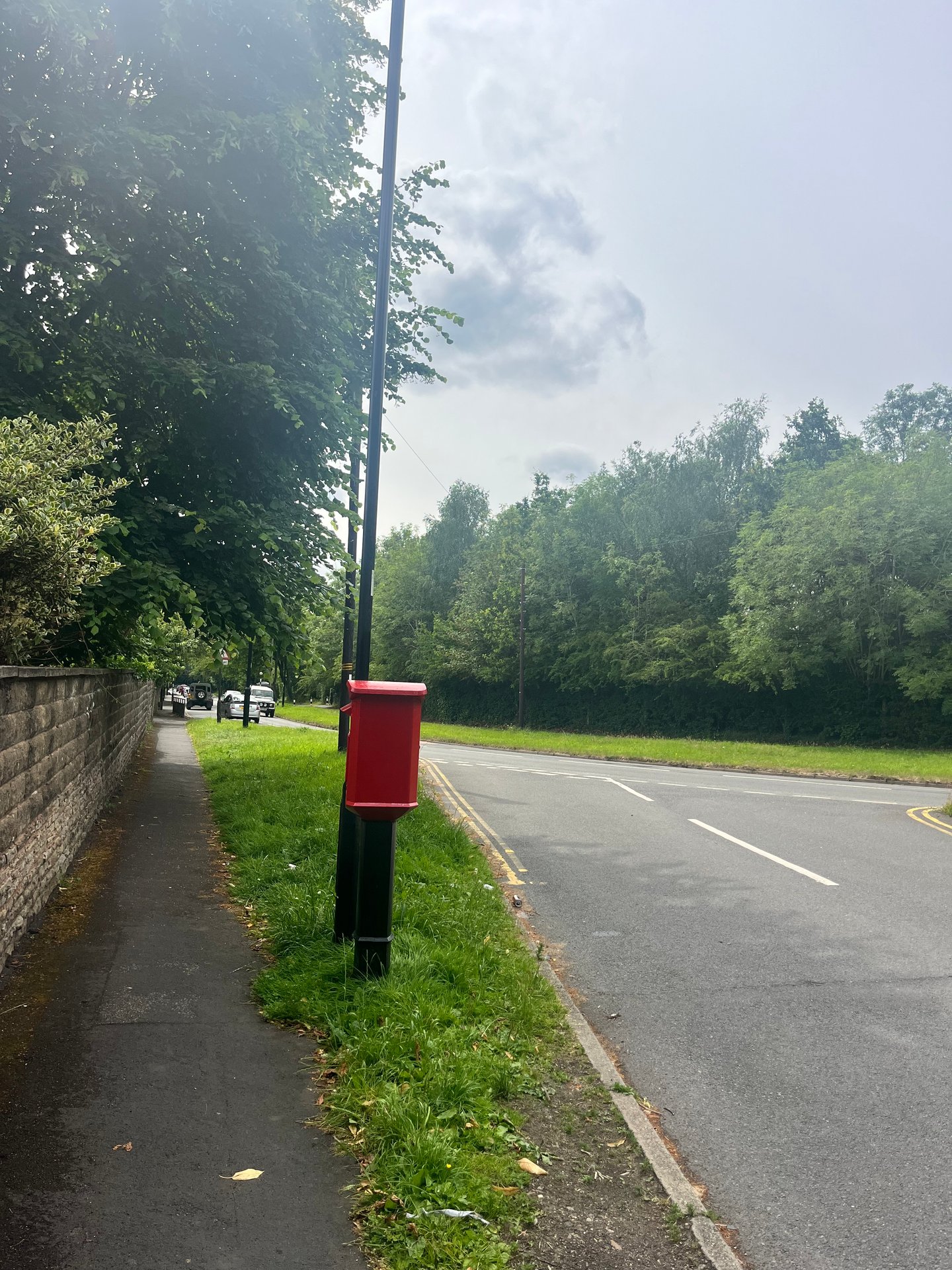 School Lane, Sheffield photo 5