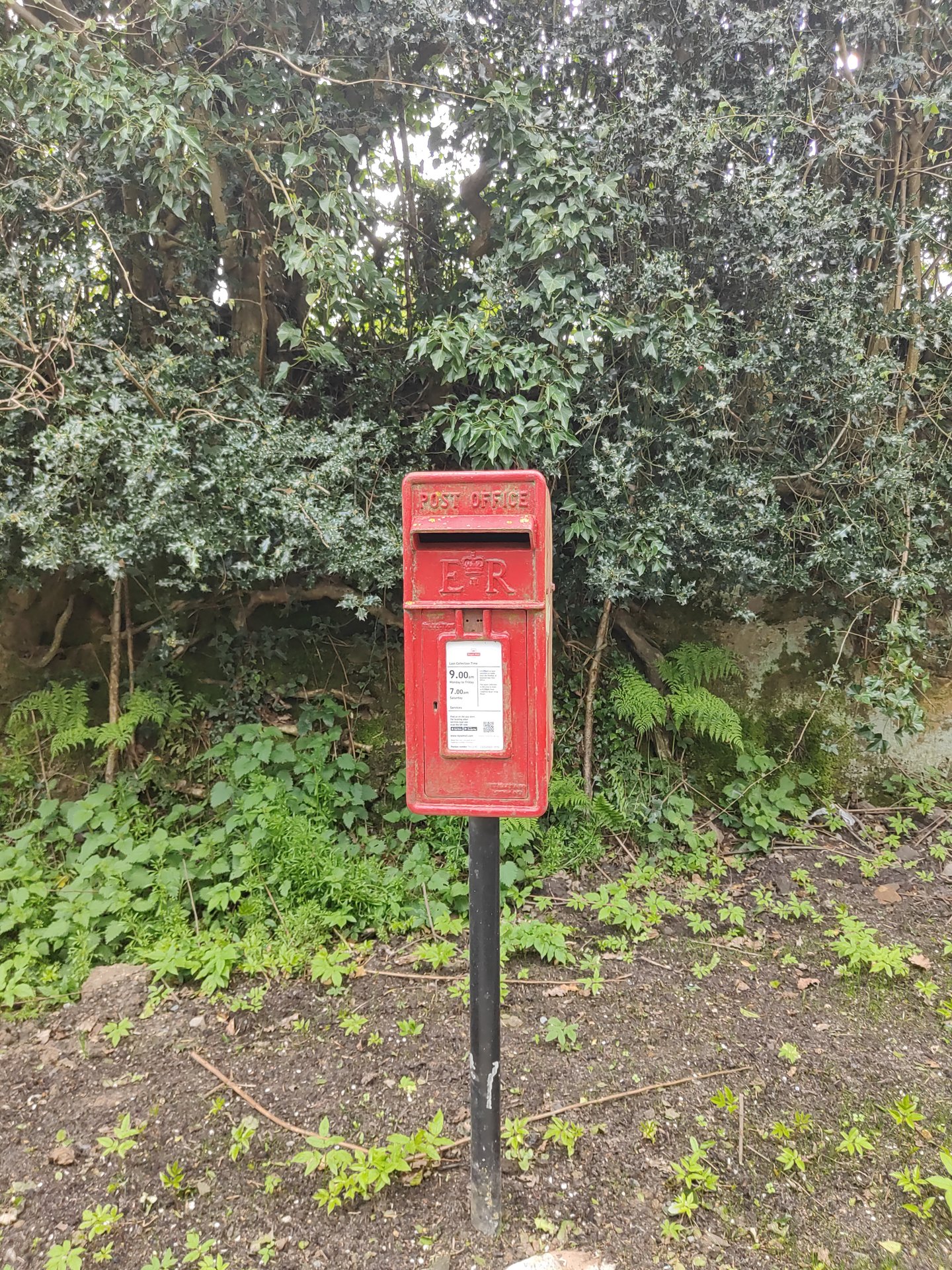Cherry Gardens Hill, photo 4